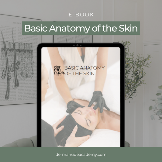 Basic Anatomy Of The Skin